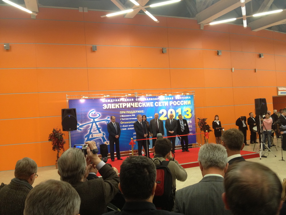 Электрические сети России - 2013