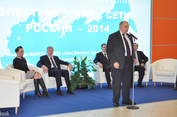 Электрические сети России - 2014