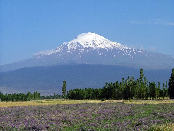 Конференция в Ереване 15-16.05.14